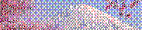 Profile Banner